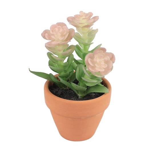 6 Packs: 6 ct. (36 total) Mixed Mini Premade Succulents in Terra Cotta Pots by Ashland®